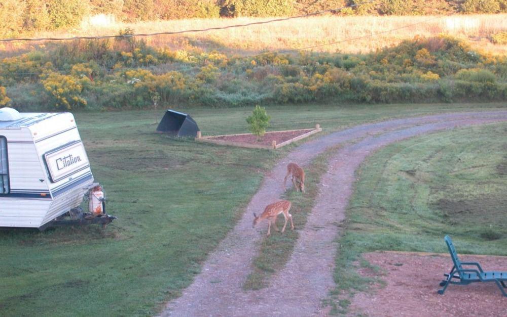 Waterview B&B Pictou Εξωτερικό φωτογραφία
