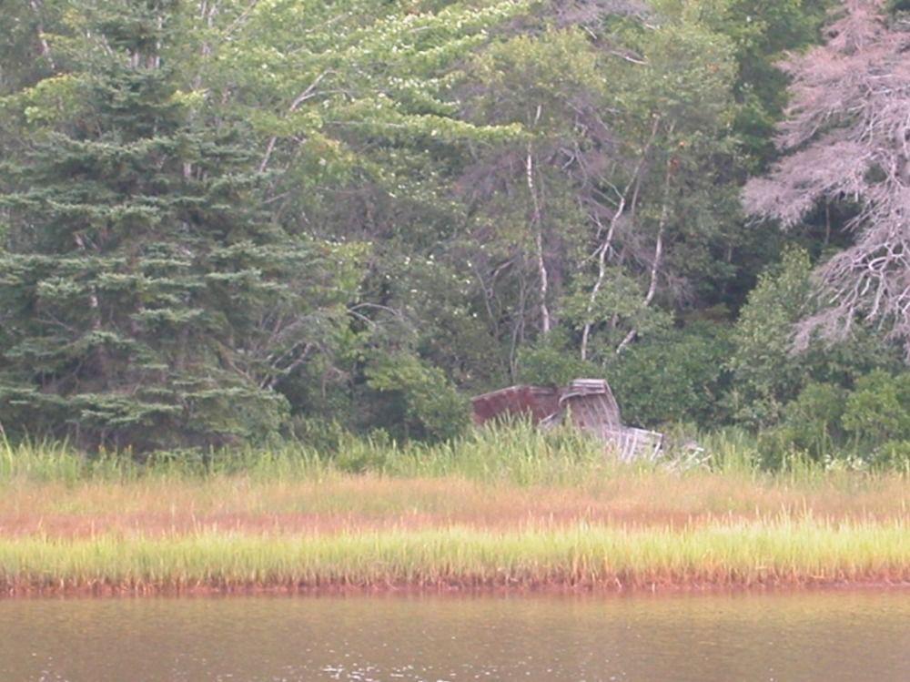 Waterview B&B Pictou Εξωτερικό φωτογραφία